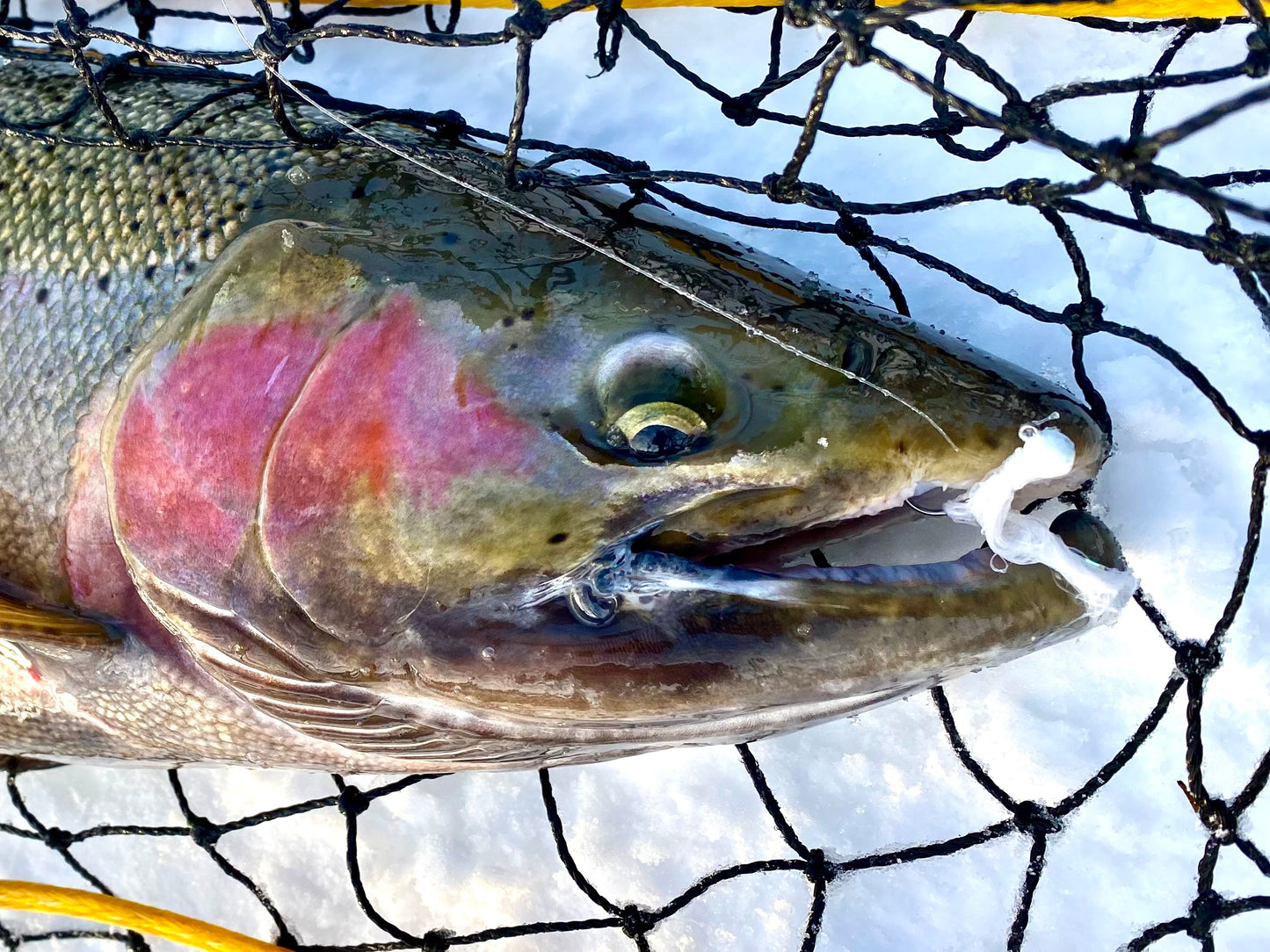 TJ Maribou Steelhead Jig