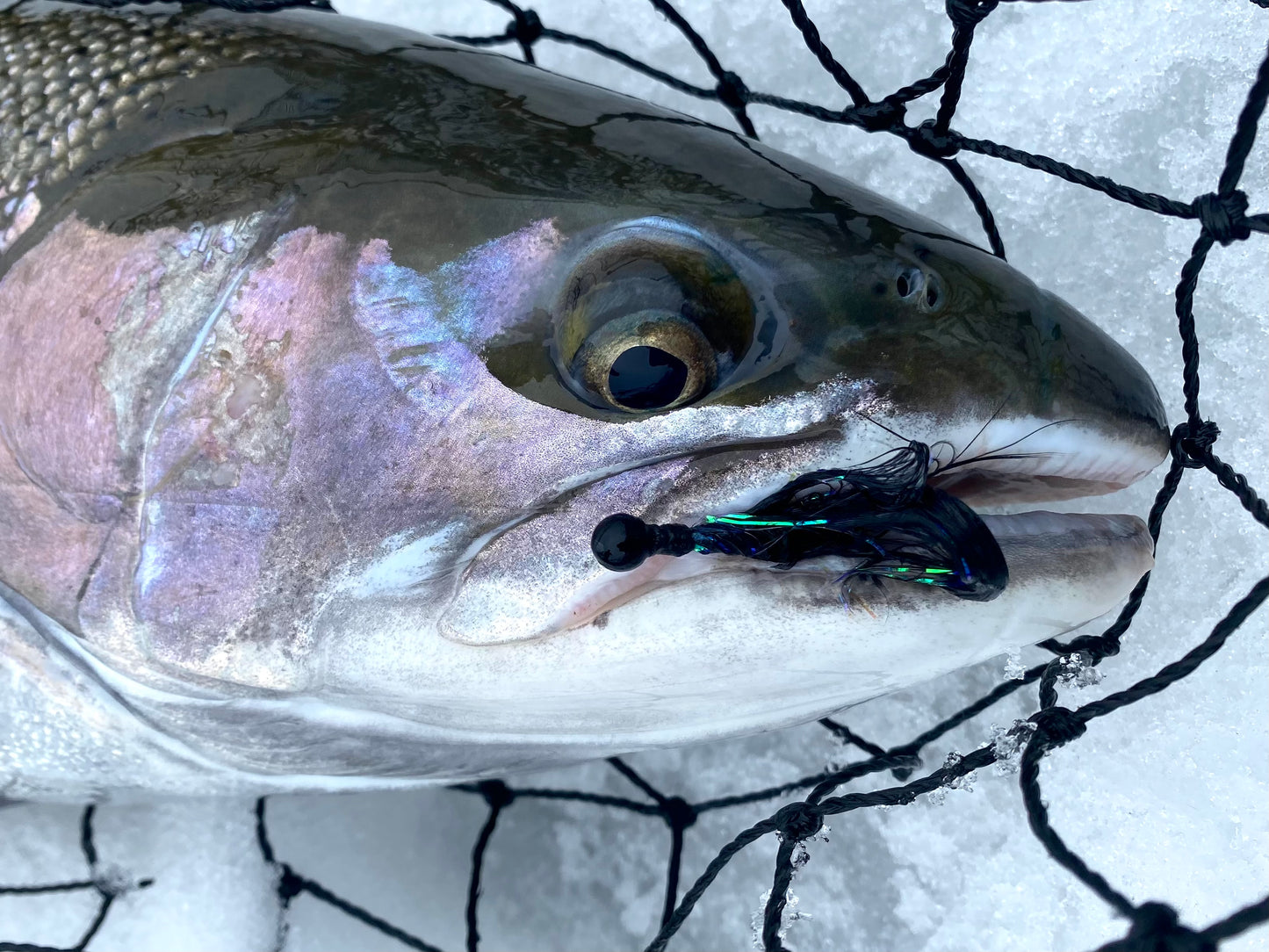 TJ Maribou Steelhead Jig